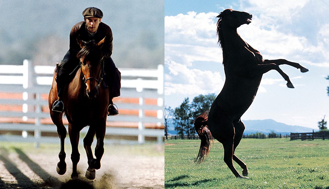 Carrera de caballos en el cine
