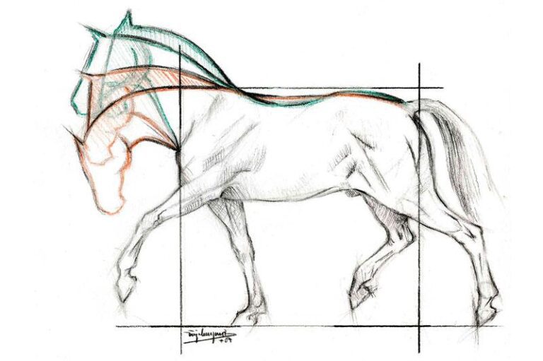 Qué significa cuando un caballo mueve la cabeza de arriba a abajo