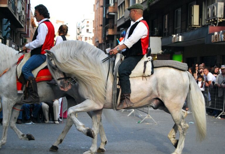 caballos bailadores