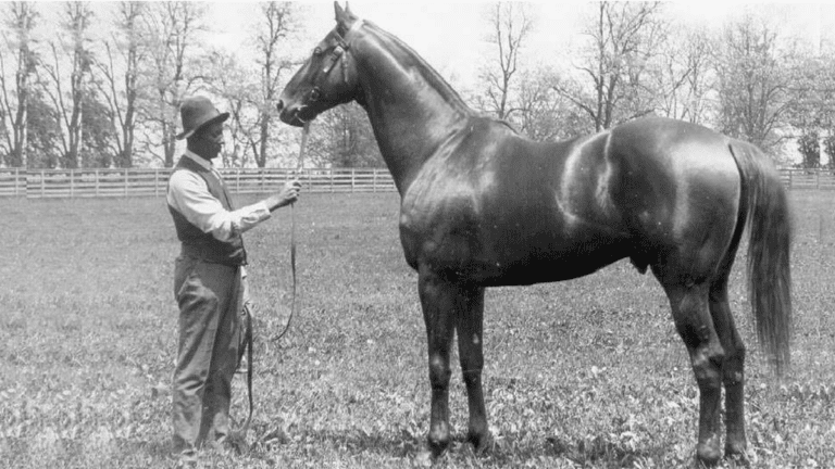 Man O' War