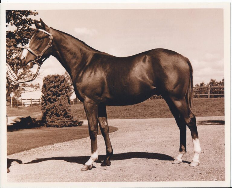 Northern Dancer