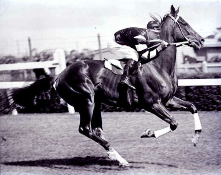 Caballo Phar Lap