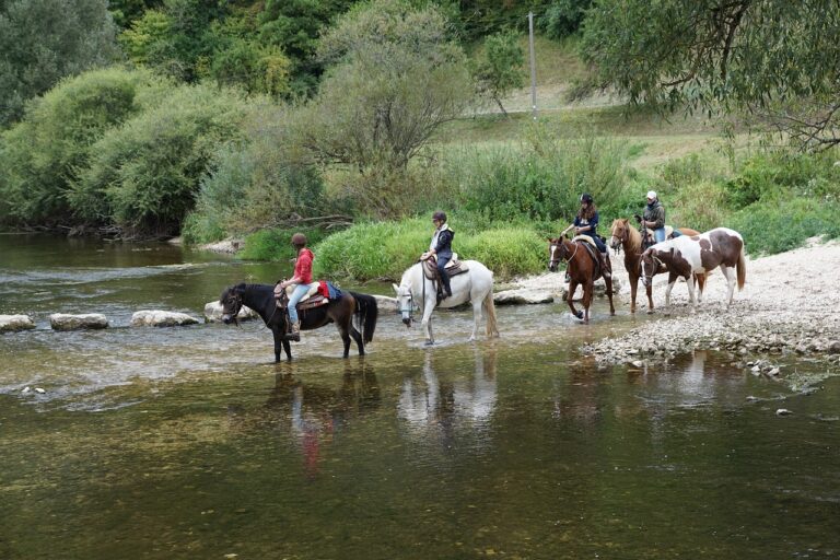 rutas de caballo