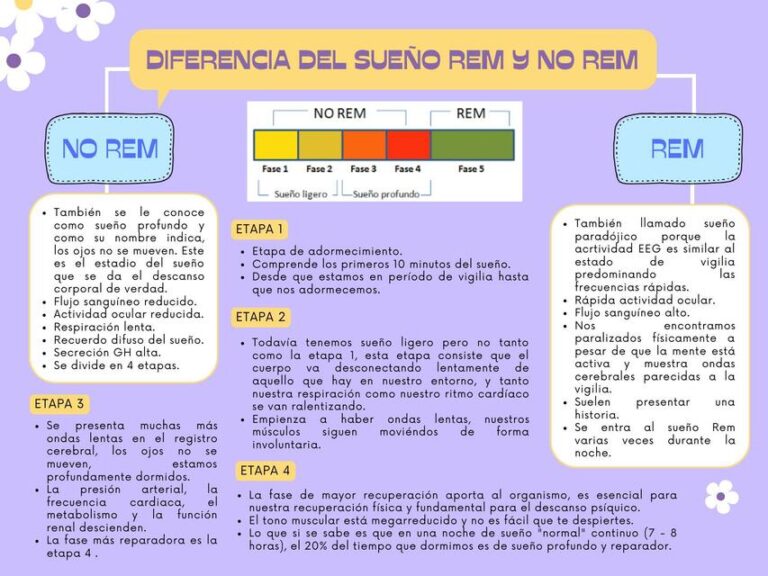 Cómo hacen los caballos para dormir de pie