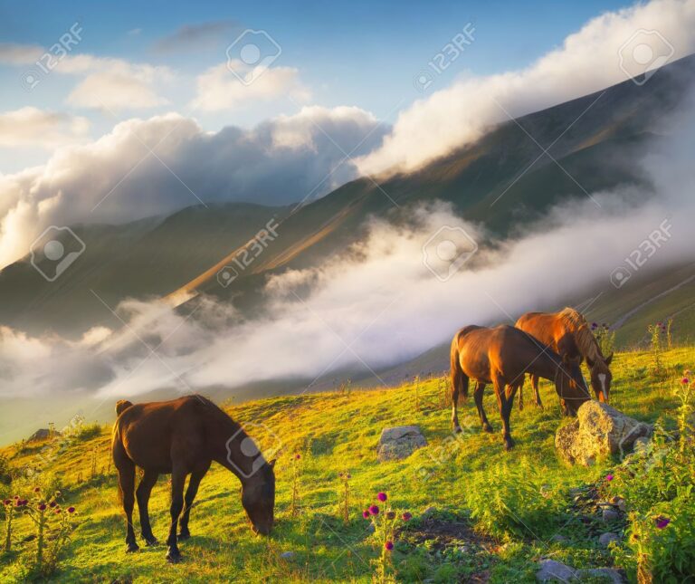 Dónde encontrar el mejor caballo de Red Dead