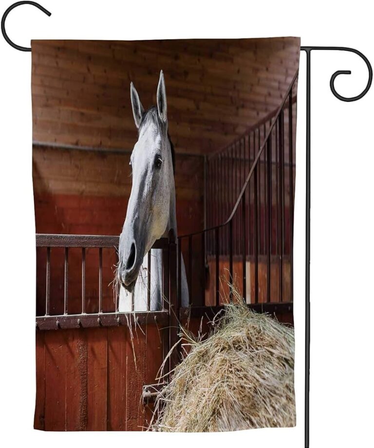 Qué preguntar sobre caballos: Guía para principiantes