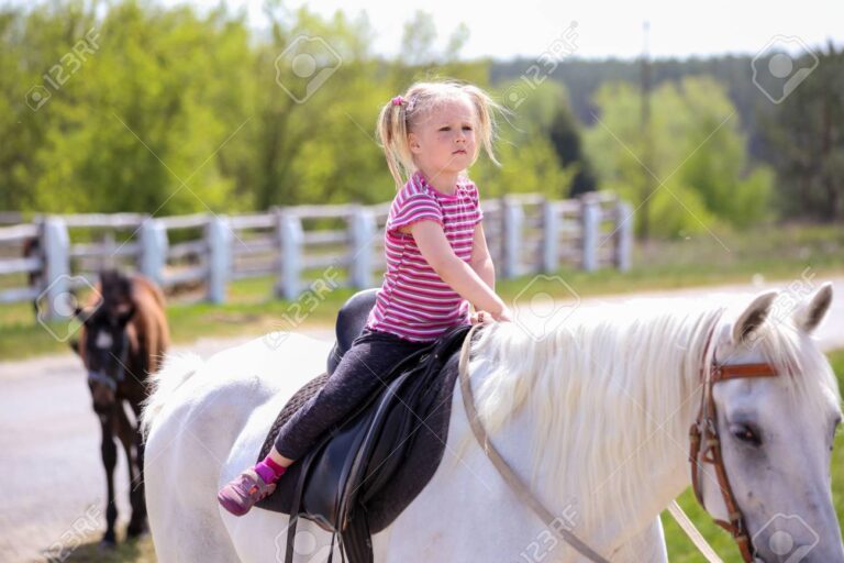 Cuántos años tiene que tener un caballo para ser montado