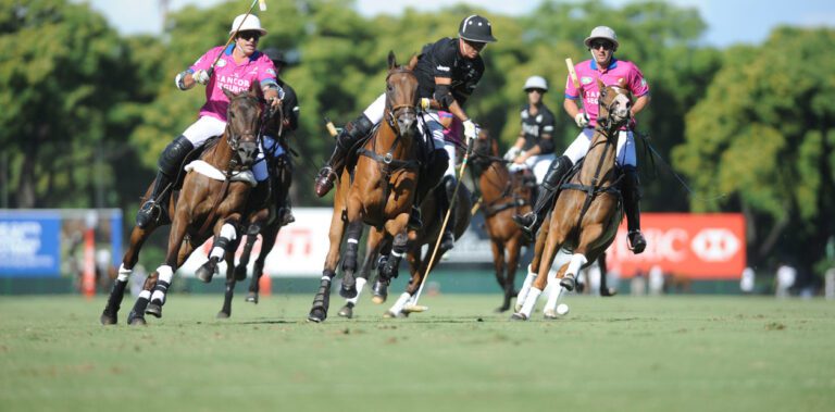 Qué velocidad alcanza un caballo de polo