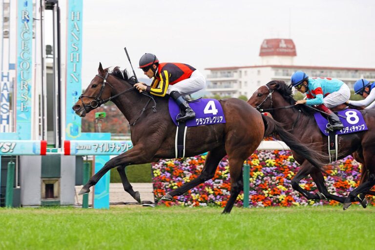 Qué significa G1 en carreras de caballos