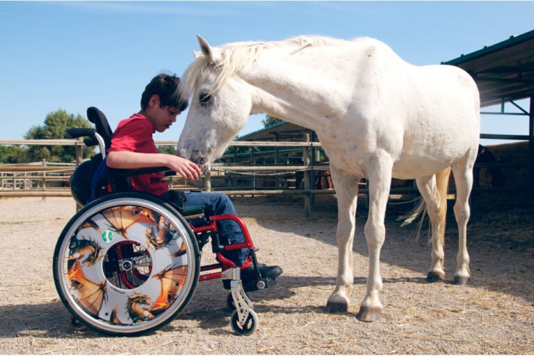 Como los caballos ayudan a las personas