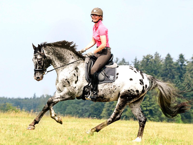 Caballo corriendo con giro incorrecto del pie