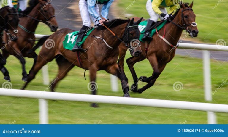 Qué significa lo que está en juego en las carreras de caballos