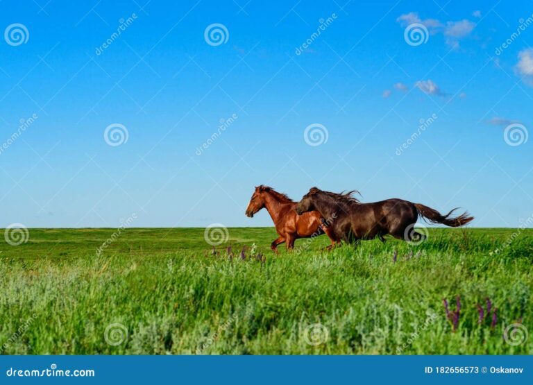 Cómo es el Caballo según el horóscopo chino