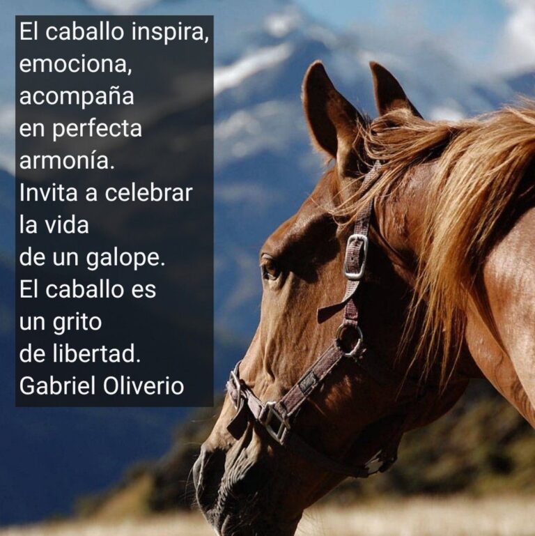 Cuál es un dicho famoso sobre los caballos