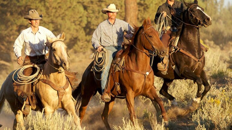 Como dicen los vaqueros: Expresiones y frases populares