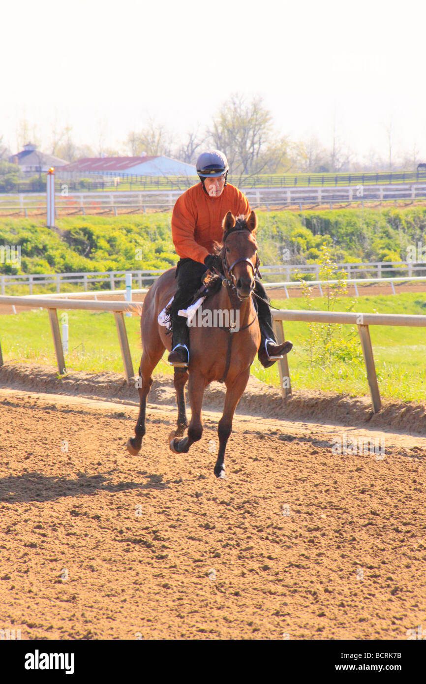 Caballos de carreras entrenando en pista