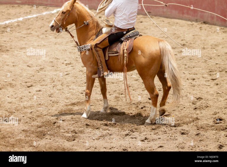 Cuántas suertes puede hacer un charro