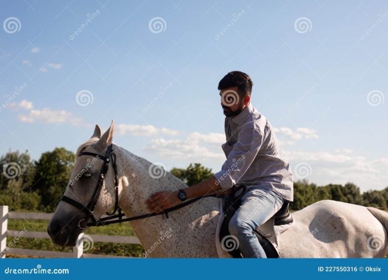 Cómo comprar un caballo de Vicente Fernández