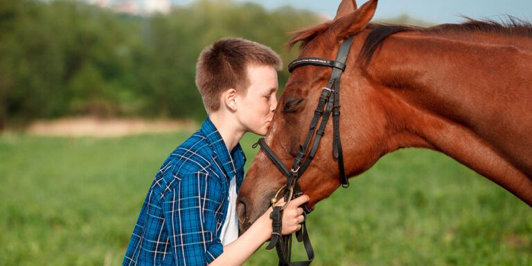 Qué aportan los caballos como animales de terapia