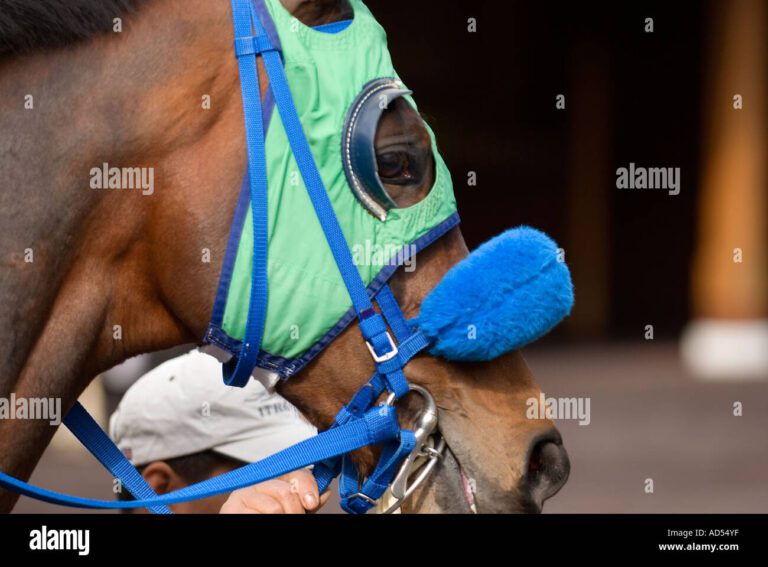 Cómo se llama lo q tapa los ojos de los caballos