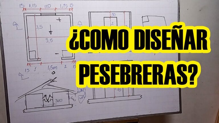 Cuánto debe medir una pesebrera para caballos