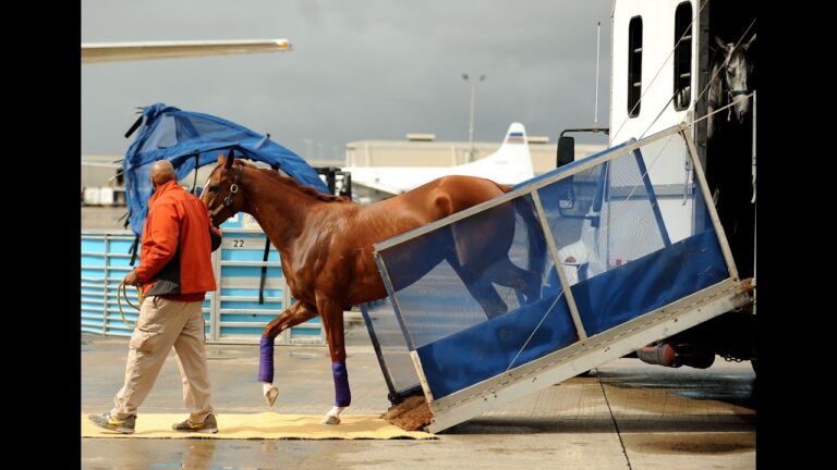 Descubriendo cómo llegó el caballo al Perú: Un viaje histórico