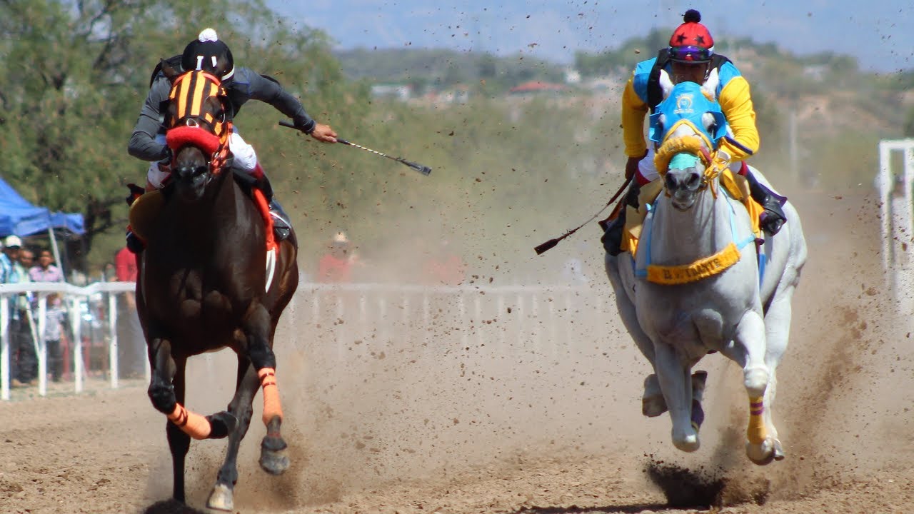 Caballos corriendo en un hipódromo