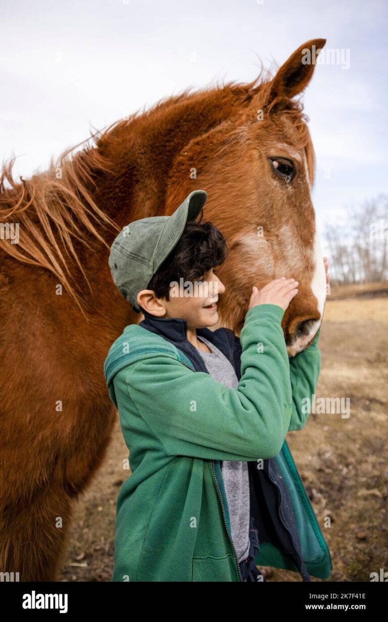 Cuántos años llego a vivir el caballo más longevo
