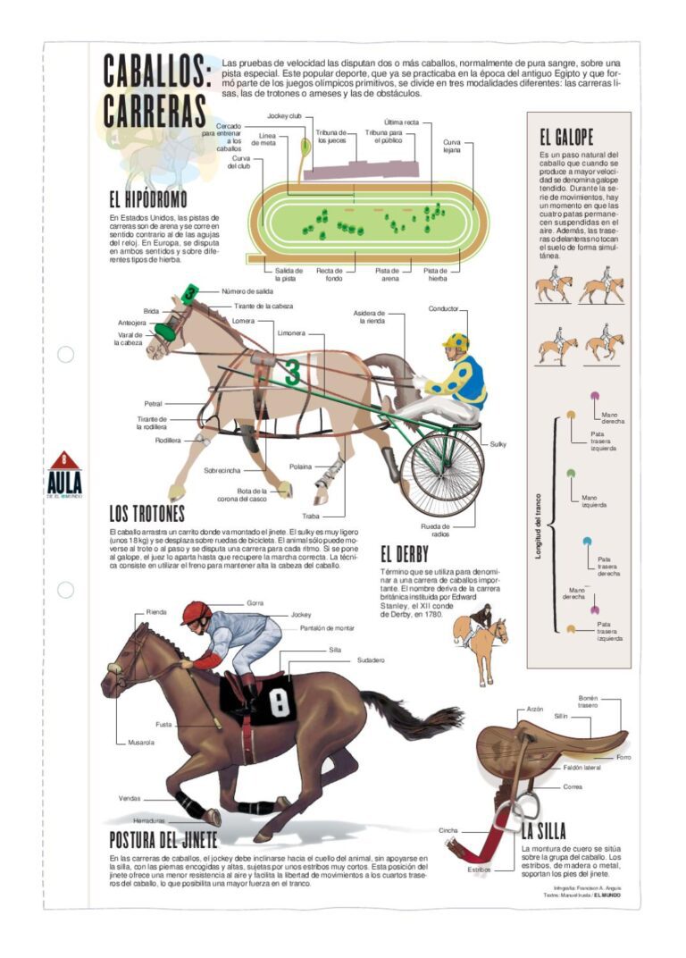 Qué velocidad puede alcanzar un caballo con jinete