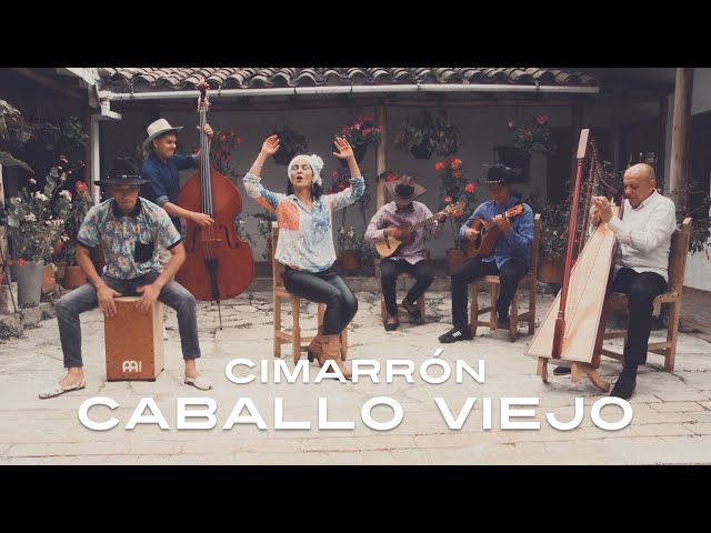 Músicos internacionales interpretando Caballo Viejo