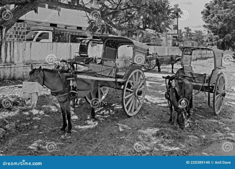 Por que ellos confian en carros y caballos