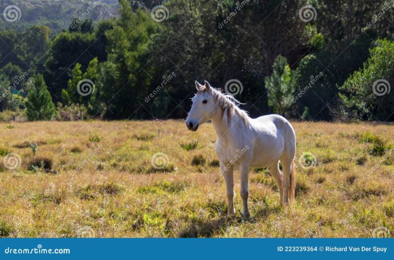 Qué significa el caballo en La casa de Bernarda Alba