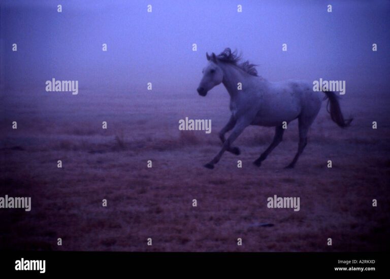 Qué significa ver caballo fantasma