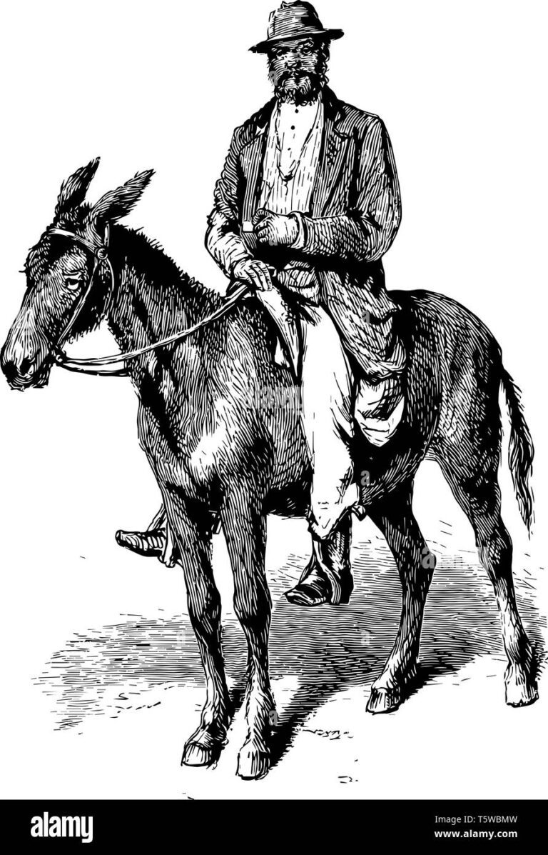 Qué significa bajar del caballo: Explicación y Origen de la Expresión