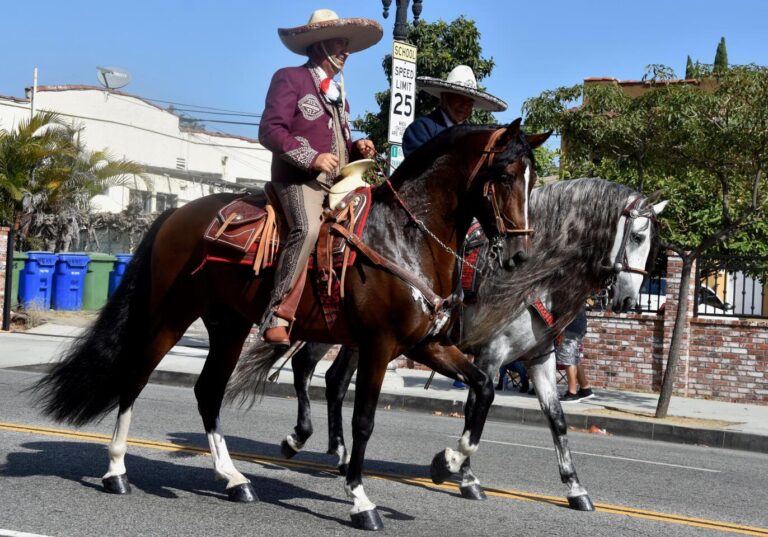 Qué quiere decir ‘a caballo entre’: Explicación y ejemplos