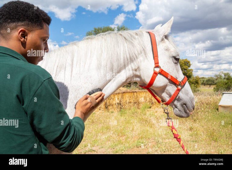 Qué es darle sábana a un caballo: explicación y significado
